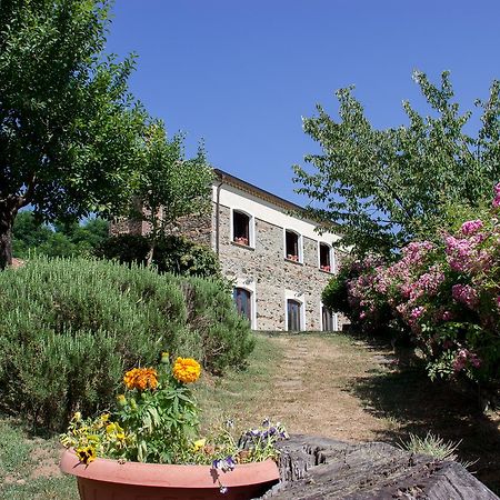 La Rosa Nel Bicchiere Guest House Soveria Mannelli ภายนอก รูปภาพ